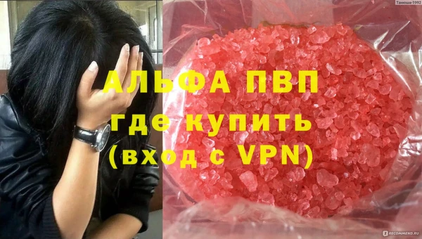 СК Абинск