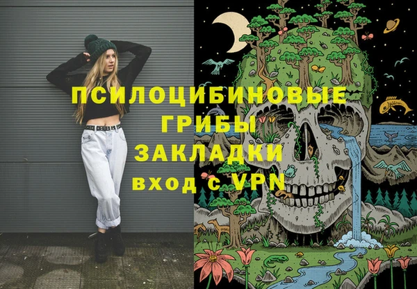 тгк Алексин